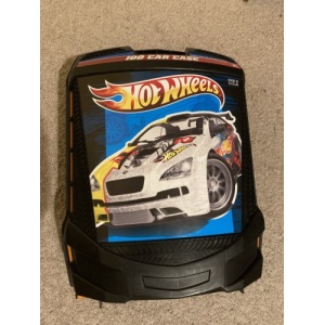 100 Car Case
