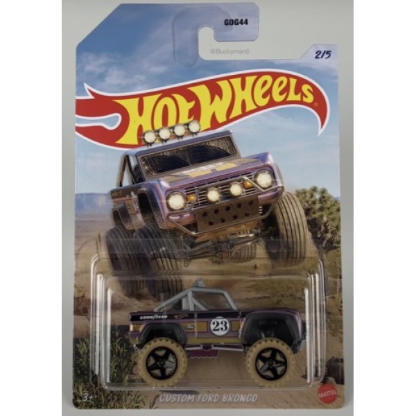 Custom Ford Bronco