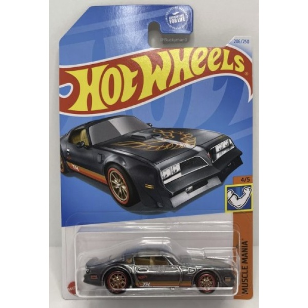 77 Pontiac Firebird T/A