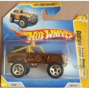 Custom Ford Bronco
