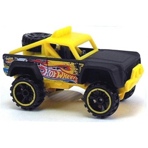 Custom Ford Bronco