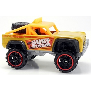 Custom Ford Bronco
